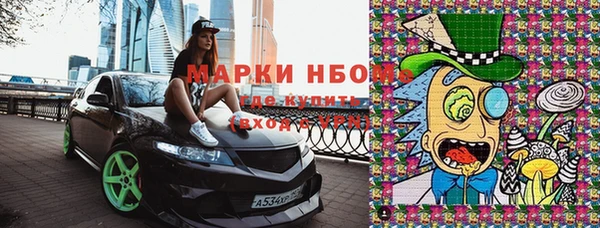 индика Волоколамск