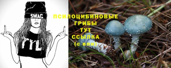 2c-b Верхний Тагил