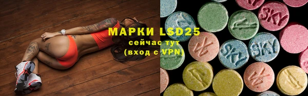 индика Волоколамск
