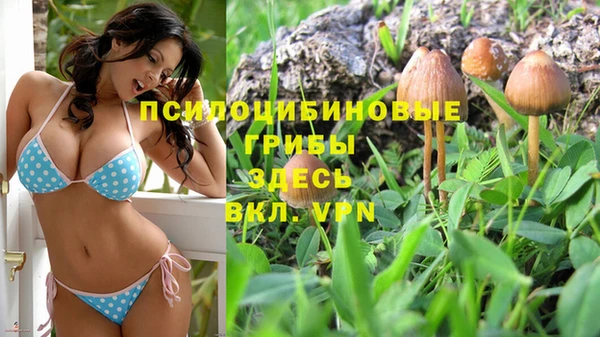 индика Волоколамск