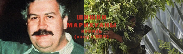 индика Волоколамск