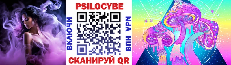 купить наркотик  Дрезна  гидра   Псилоцибиновые грибы MAGIC MUSHROOMS 